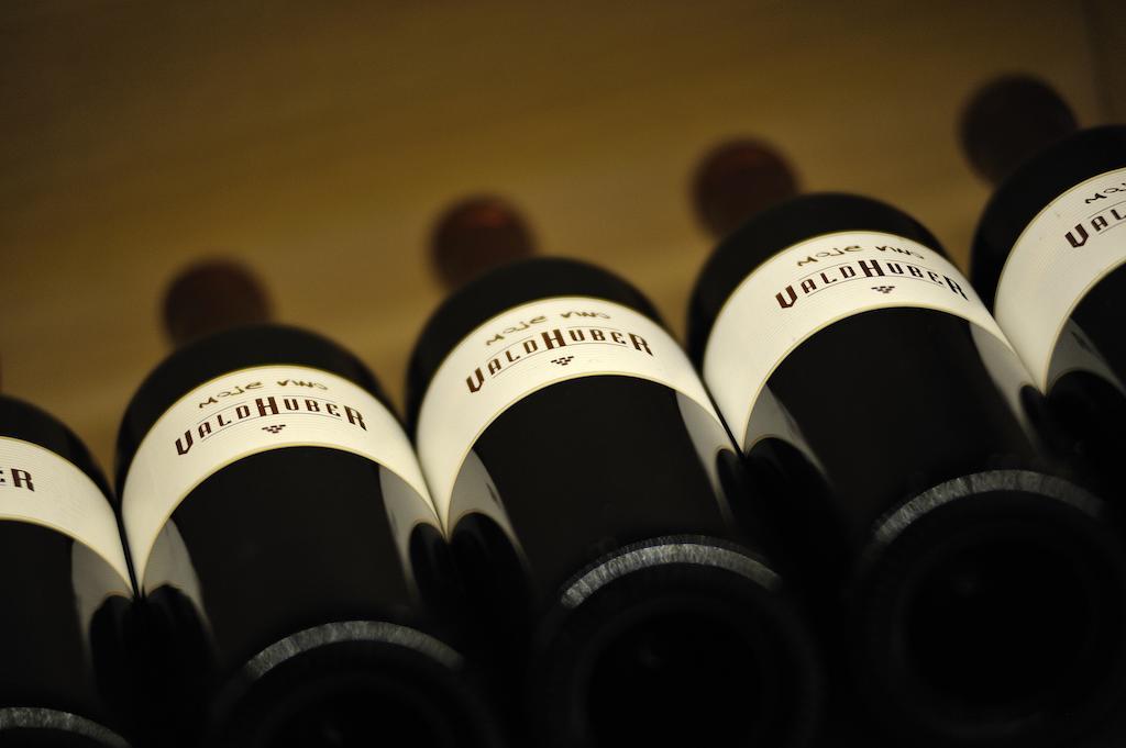 Vino Valdhuber Apartments Svecina Eksteriør bilde